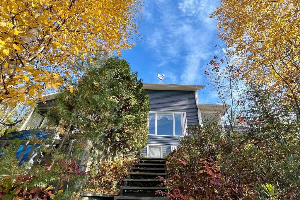 Le Chalet Bleu, Aux Pieds Des Monts-Valin Saint-David-de-Falardeau Екстер'єр фото