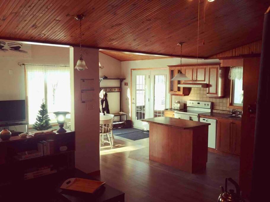 Le Chalet Bleu, Aux Pieds Des Monts-Valin Saint-David-de-Falardeau Екстер'єр фото